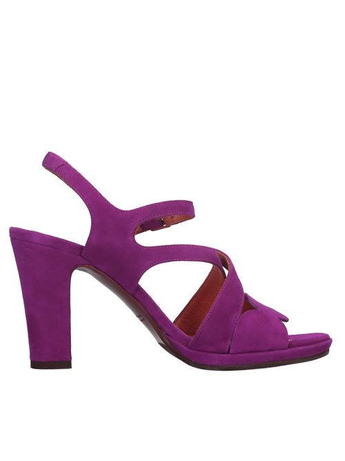  CHIE MIHARA | ARANA ANTEBERRY